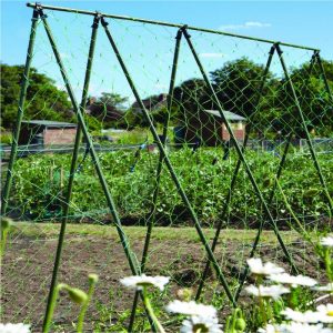 allotment edinburgh