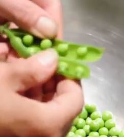 How to prepare grass pea