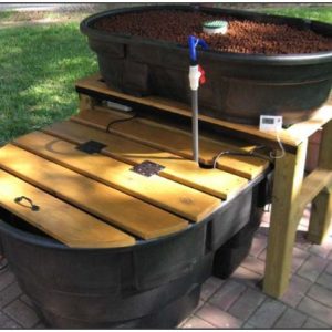 diy aquaponics kit