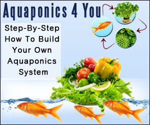 aquaponics-4-you