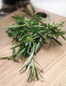How to grow Rosemary indoors