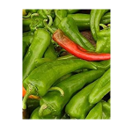 anaheim chile pepper