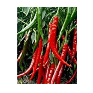 cayenne pepper