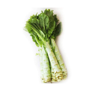 celtuce lettuce