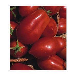 tomato recipes using fresh tomatoes