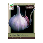 purple stripe garlic