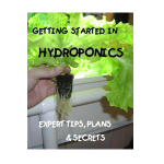 hydroponics plan