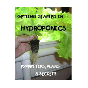 diy hydroponics system for beginners plan