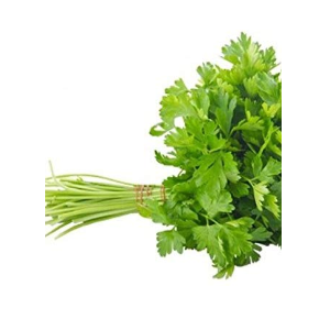french parsley