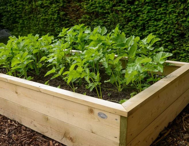 vegetable box