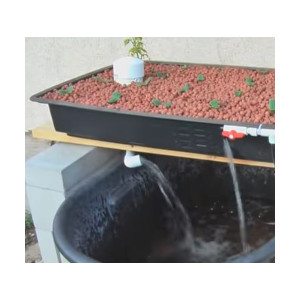 aquaponics 4 you