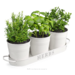 kitchen herb planter
