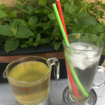 lime and mint cordial recipe