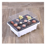 seed trays with lid