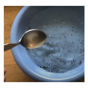 soak seeds in water