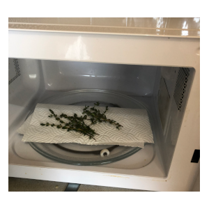 thyme in a microwave
