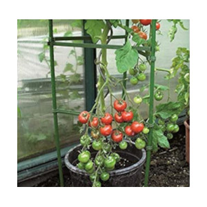 Freestanding Tomato support